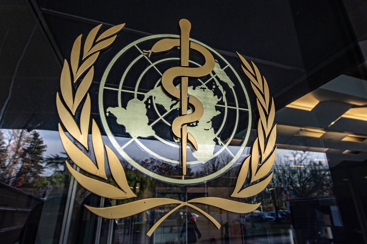 scientificamerican.com - Claire Cameron - The world is falling short of-and even reversing-its health targets, WHO warns