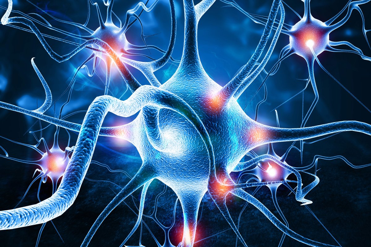 Scientists can now rewire living brains