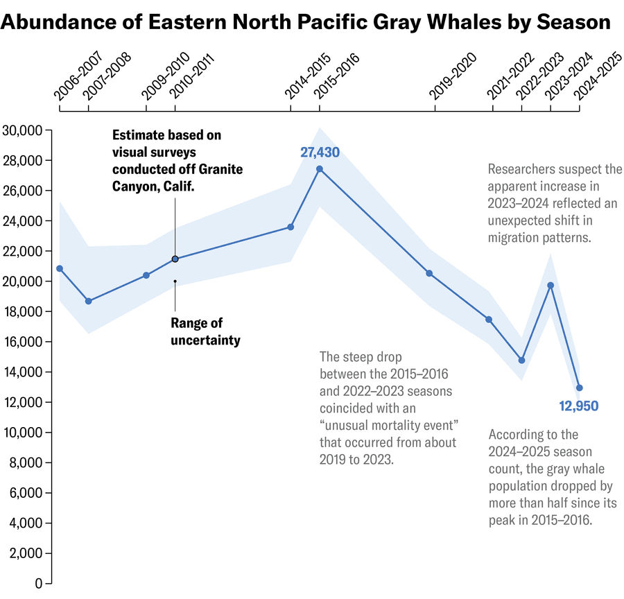 Line chart shows abundance of eastern North Pacific gray whales by season from 2006 to 2025.