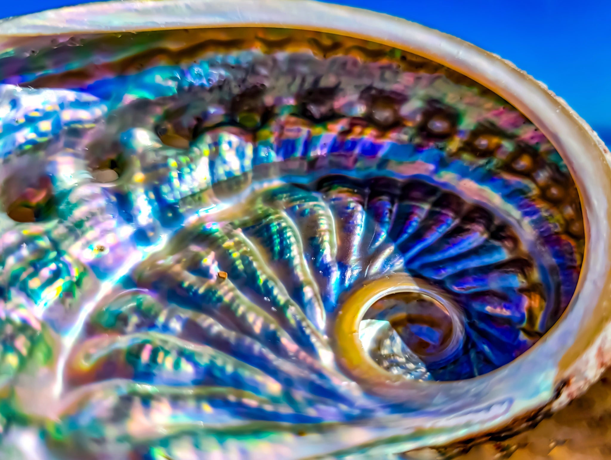 A photo of beautiful iridescent nacre inside a spiraling seashell.