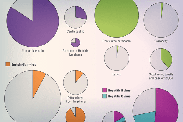 Cropped image of a graphic shows a series of pie charts, each representing one type of cancer, with colored areas indicating shares of cases associated with infections.