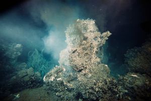 Billowing plumes flow up from a hydrothermal vent on the ocean floor.