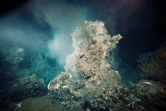 Billowing plumes flow up from a hydrothermal vent on the ocean floor.
