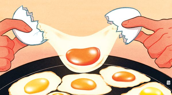 An egg being cracked onto a pan with many other eggs.