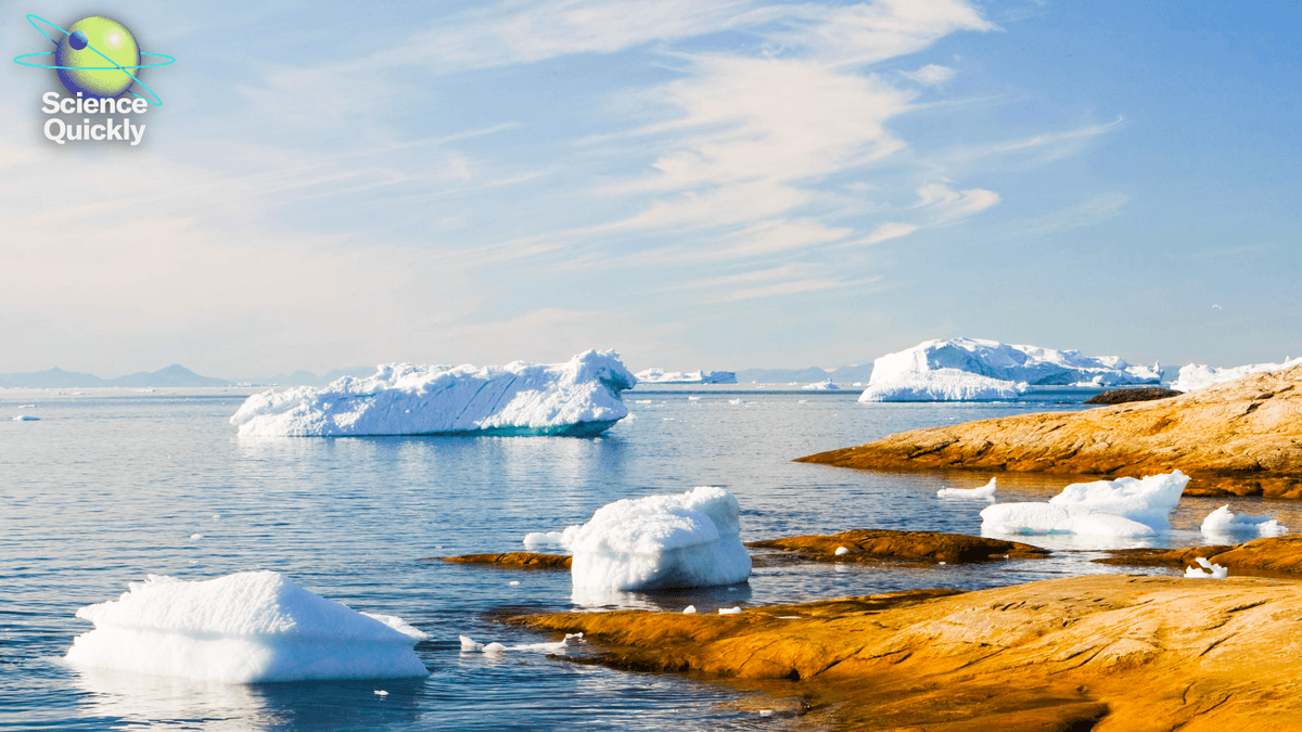Climate change opens Arctic shipping routes as roadless forest protections face rollback