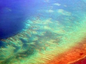 A rainbow image effect over coral reef.
