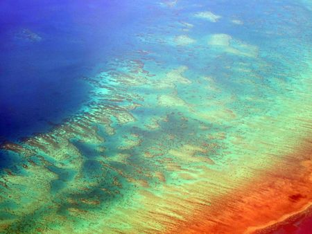 A rainbow image effect over coral reef.