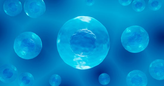 Illustration showing cells in a medium