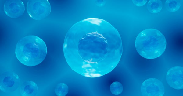 Illustration showing cells in a medium