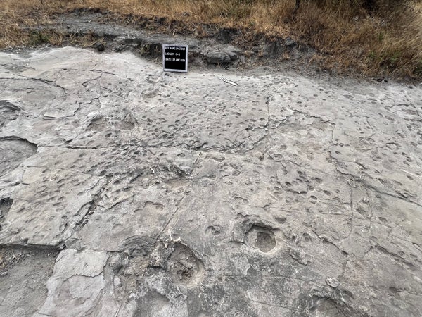 Fossilized ancient human footprints in rock in Tanzania