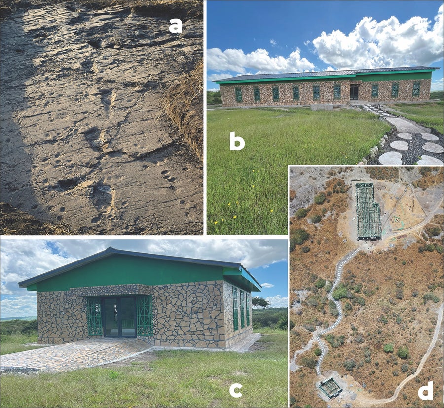 A figure showing four images: one of the Laetoli footprints, two of buildings constructed on the site, and one of a path built over the site.
