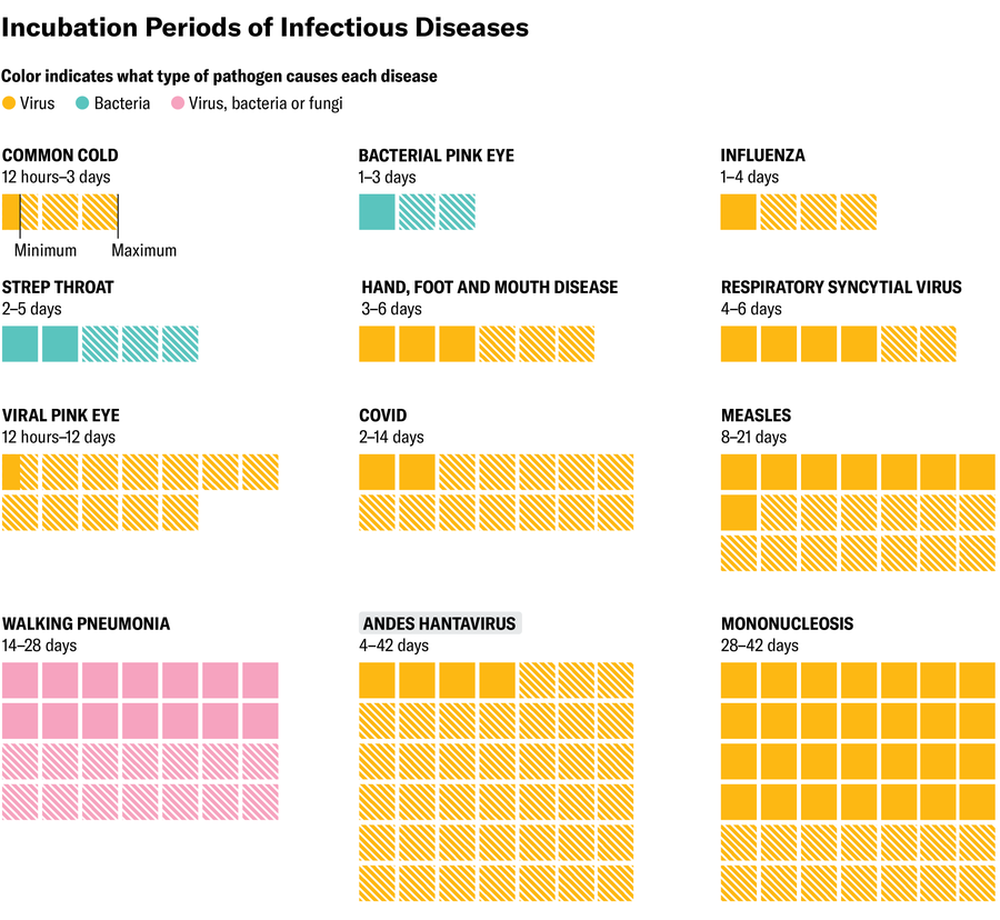 Graphic uses colored squares to depict the minimum and maximum incubation periods for 12 infectious diseases, including Andes hantavirus.