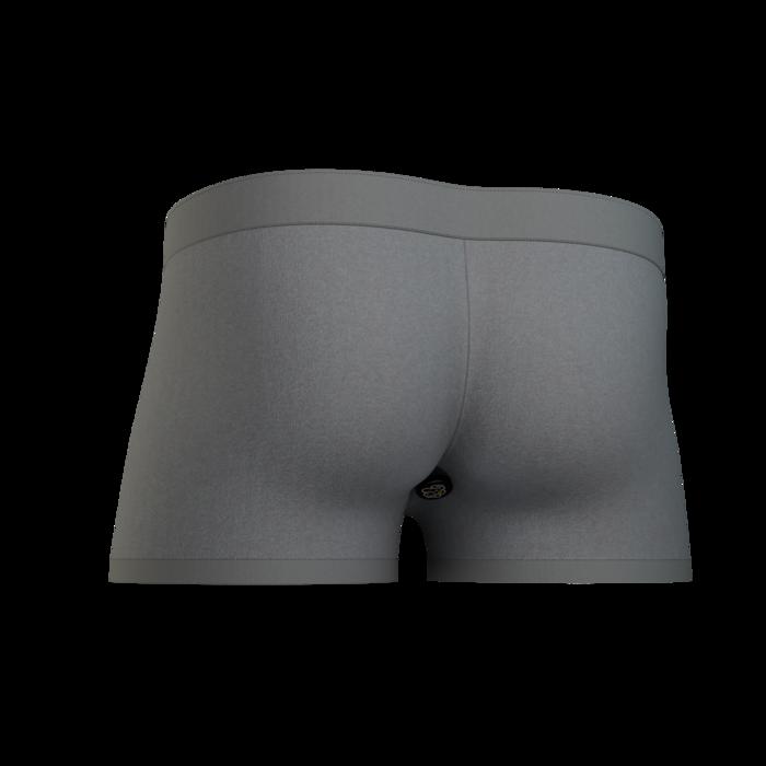 A prototype of the Smart Underwear device.
