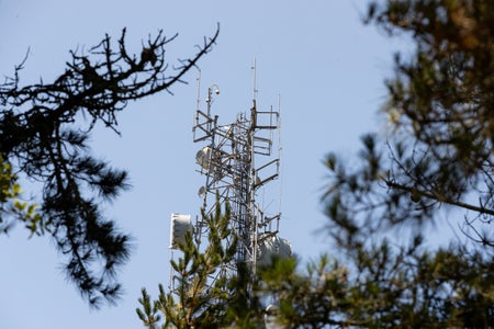 ALERTCalifornia camera utility pole sticking up through the underbrush.