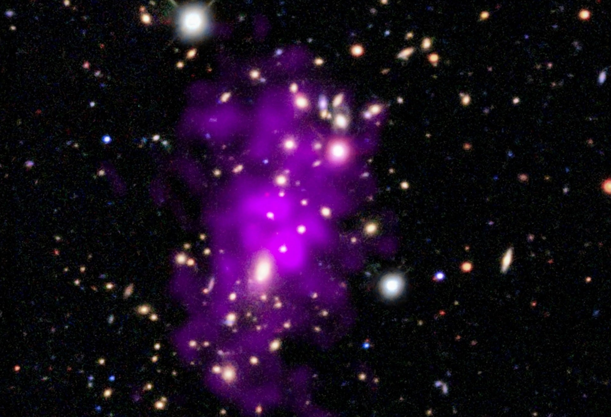 The cluster appears here as a large collection of brilliant white lights, each a distinct galaxy. A neon purple cloud stretches across the cluster’s crowded core. Many of the hundred-plus galaxies in the cluster are in two clumps of galaxies towards the top and bottom of center. Some are encircled by a faint glowing haze, while a few foreground stars gleam with diffraction spikes. Some of the smaller galaxies are tinted blue, orange, or red, and some appear more oblong than round, suggesting spiral shapes viewed edge-on. The neon purple cloud sits at the heart of the image, surrounding the most densely-packed part of the cluster. This cloud, which spreads vertically across the cluster, is multimillion-degree gas observed by Chandra. The two clumps of observable galaxies, and the spread of superheated gas, reveal that the Champagne Cluster is in fact two clusters in the process of colliding.
