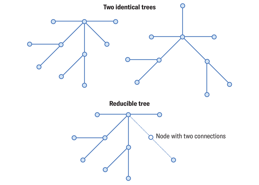 This image illustrates two concepts. First, there are two trees that visually look different in the arrangement of their parts. Because they each consist of 10 nodes, connected in the same ways but with the connective lines arranged in a slightly different manner, these are considered identical trees. Second, a tree has a node that connects exclusively to another node, which, the diagram states, creates a reducible straight line.