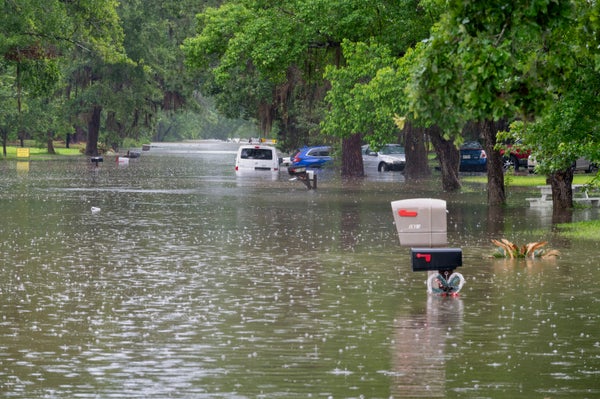 Cars are submerged and the tops of mailboxes are visible along a residential street.