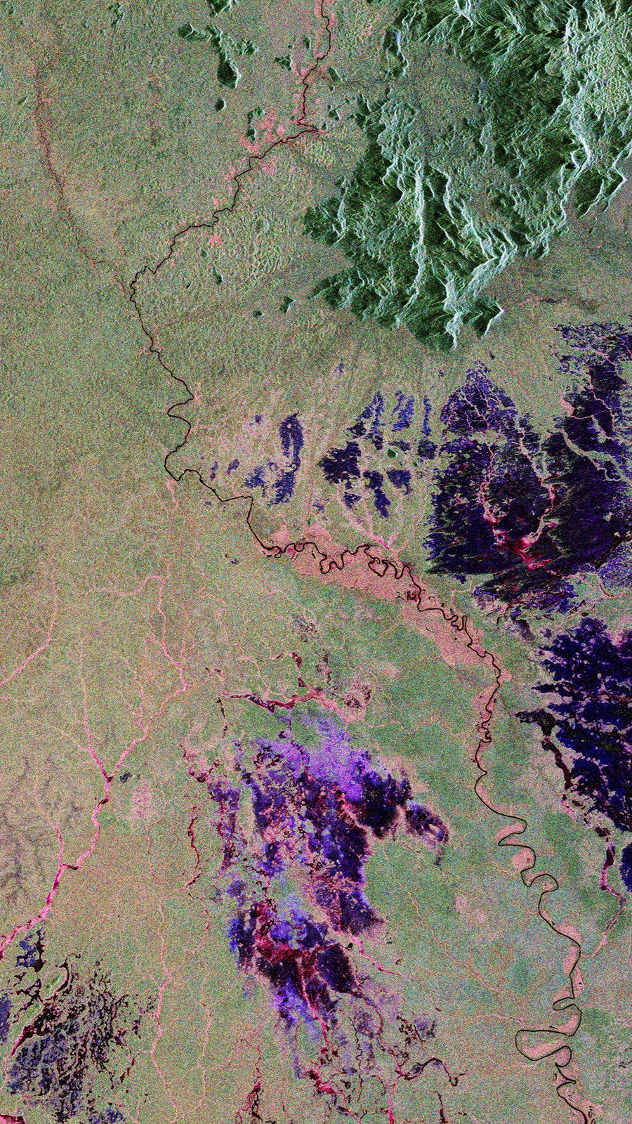 A Biomass image of the Amazon rainforest in Brazil. It is predominantly light green with a patch of dark green at the top right and a patch of purple towards the bottom