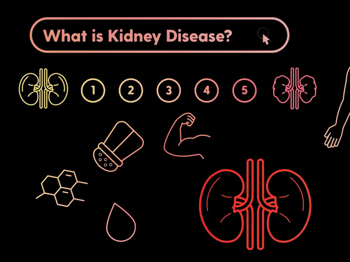 How does kidney disease actually work? | Scientific American How does kidney disease actually work? | Scientific American