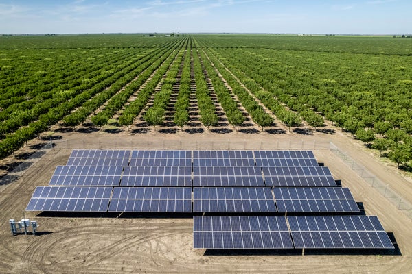 Vista aérea de uma agricultura bem perto do aqueduto da Califórnia irrigando um pomar de árvores frutíferas
