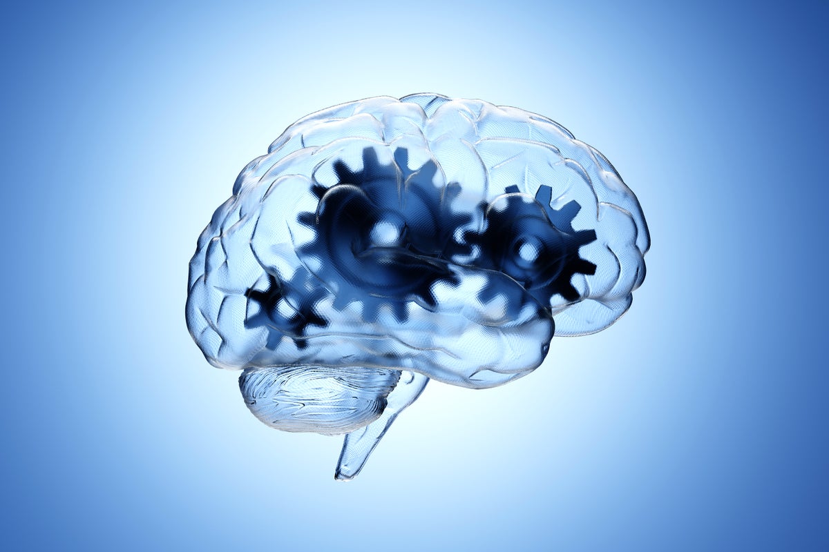 Digital illustration of gear wheels inside a transparent brain