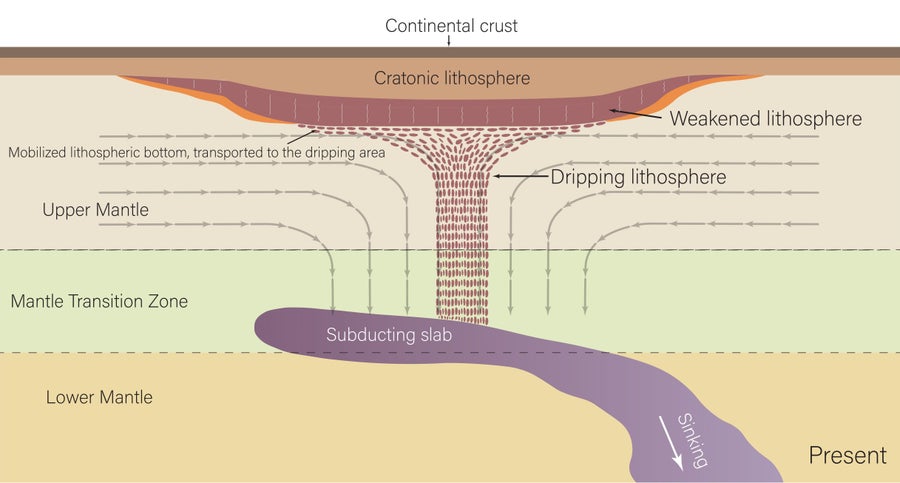 A figure from the study showing rock dripping from the cratonic lithosphere, through the upper mantle, to the transitional zone mantle towards the subducting slab below which is sinking into the lower mantle
