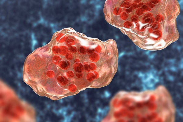 Digital illustration of the measles virus