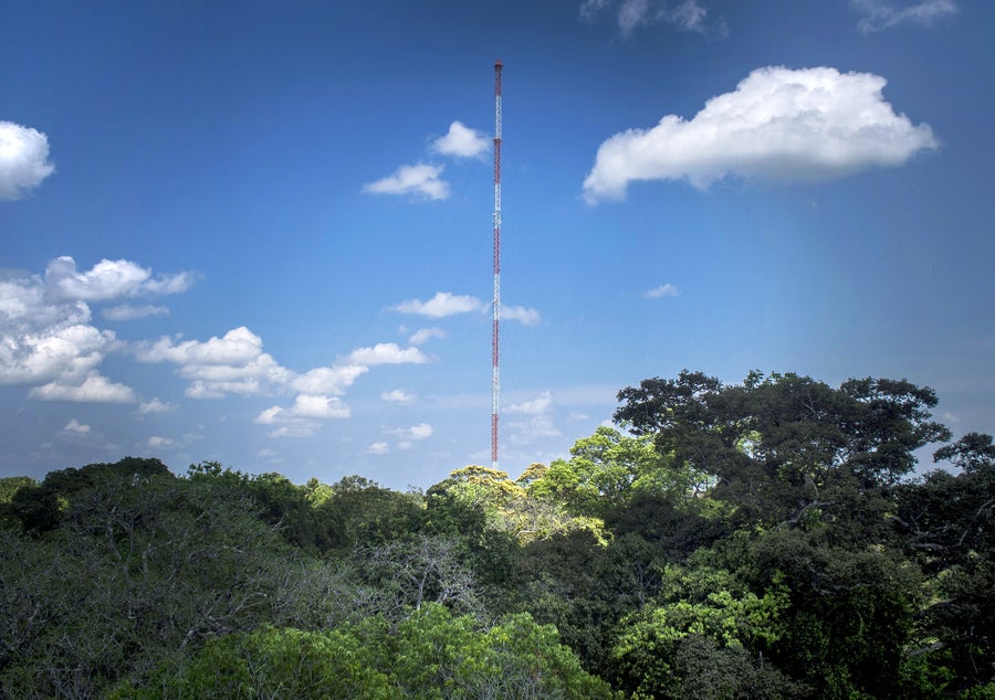 The 325-metre-high Amazon Tall Tower Observatory (ATTO) stands high above the Amazon rainforest canopy with a backdrop of a blue sky with white clouds