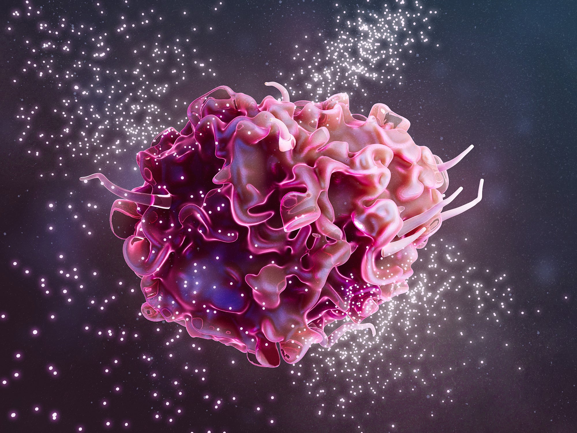 Illustration of a macrophage releasing cytokines. Macrophages are cells of the body's immune system. They phagocytose (engulf) and destroy pathogens, dead cells and cellular debris