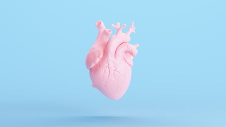 pink anatomical heart on a blue pastel background