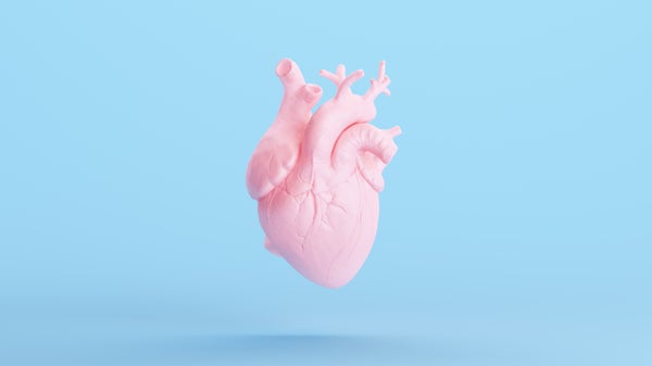قلب تشريحي وردي على خلفية باستيل زرقاء