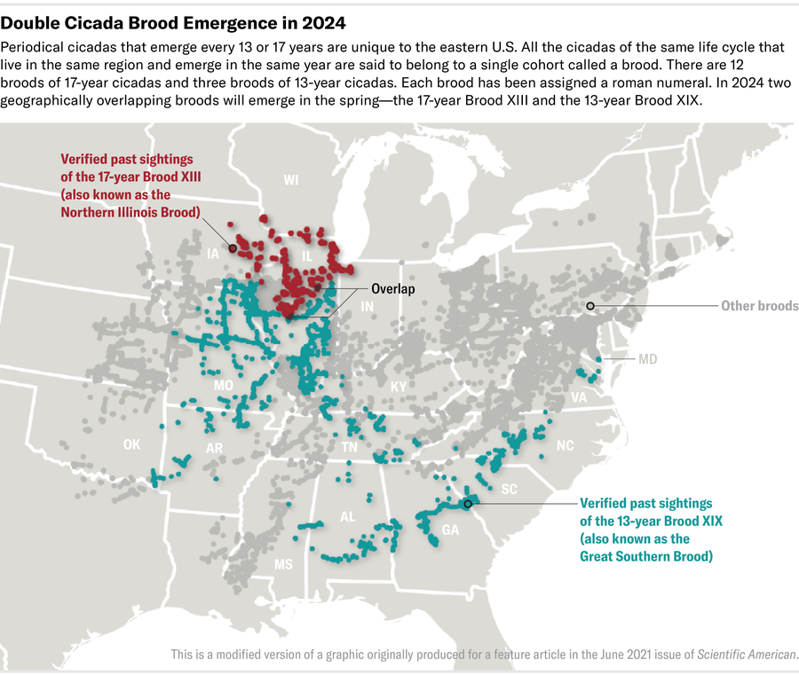 Map shows the geographical ranges of 17-year Brood XIII and 13-year Brood XIX against a backdrop of all verified cicada sightings. Some overlap occurs, primarily in the state of Illinois.