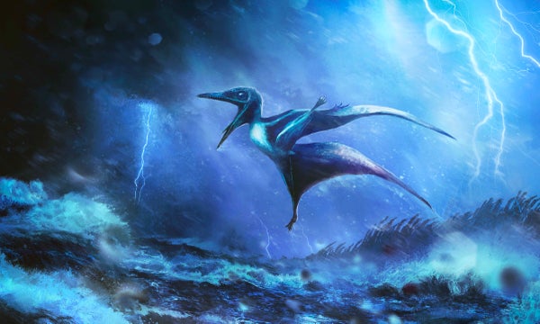 Illustration of a baby pterosaur in flight with stormy background.