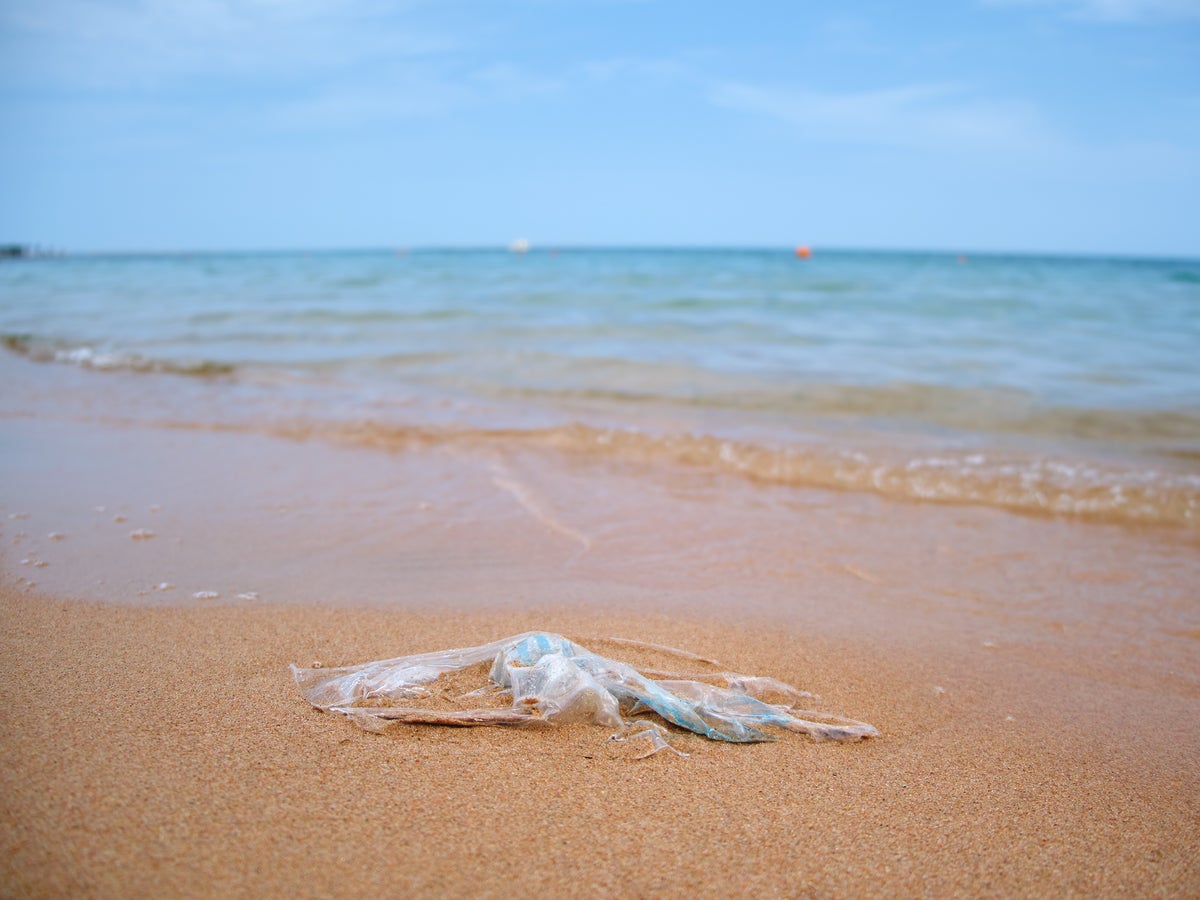 Here's How Plastic Bag Bans Are Keeping Trash off Shorelines | Scientific  American, image size:1200x900