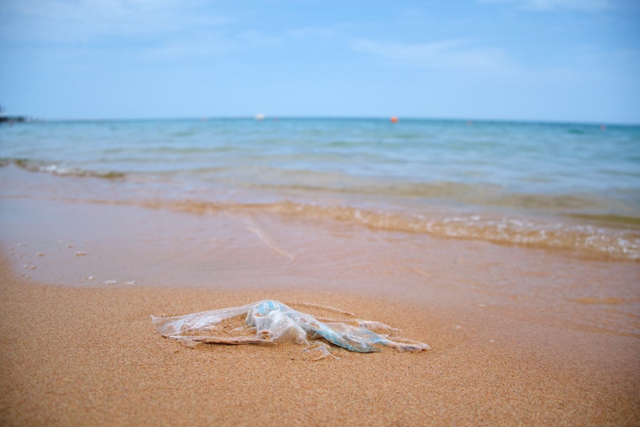 https://static.scientificamerican.com/dam/m/1755f6af06c99917/original/plastic-bag-on-beach.jpg?m=1750352916.576&w=900