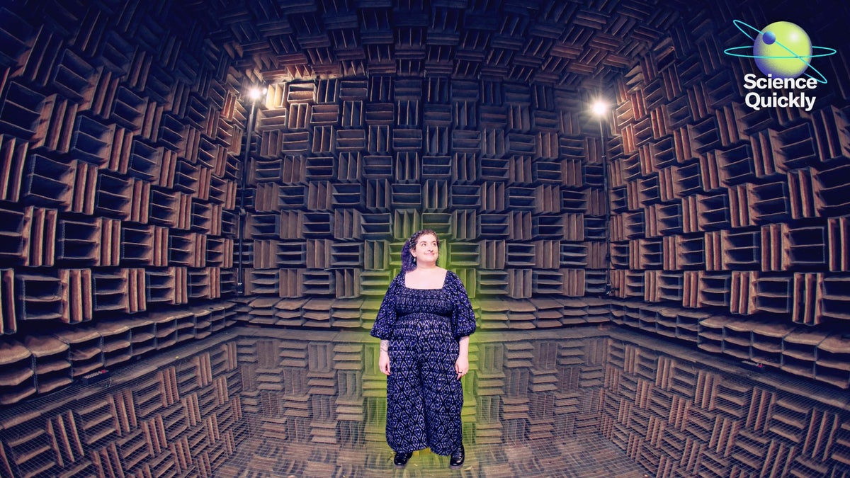 A woman stands in the middle of a curious, box of a room that shows walls of wedges in offset patterns of three.