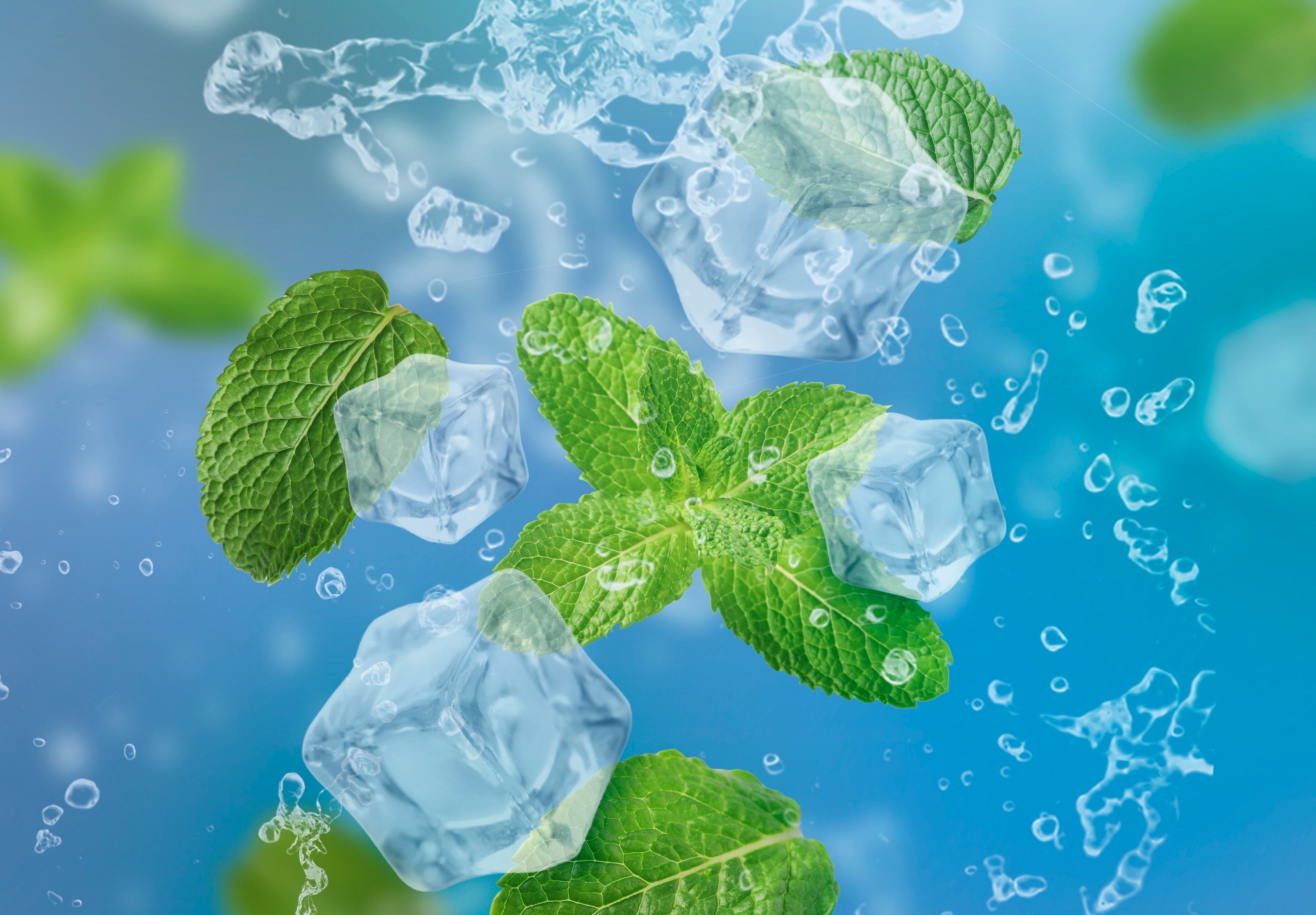 Mint leaves, ice cubes and splashing water on blue gradient background