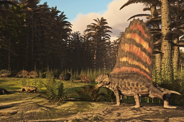 Illustration depicting a group of Dimetrodon's hunting in a Permian era environment