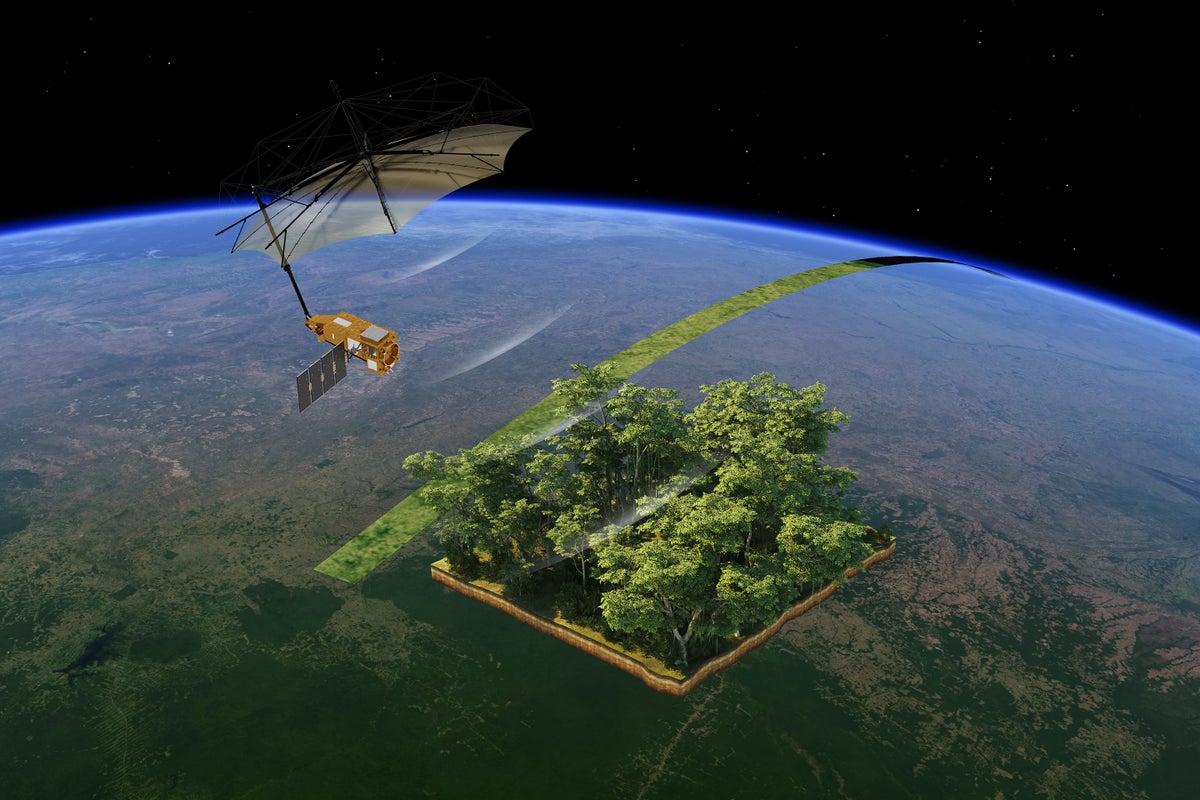 See Earth's Forests as Never Before in Biomass Satellite's First Images