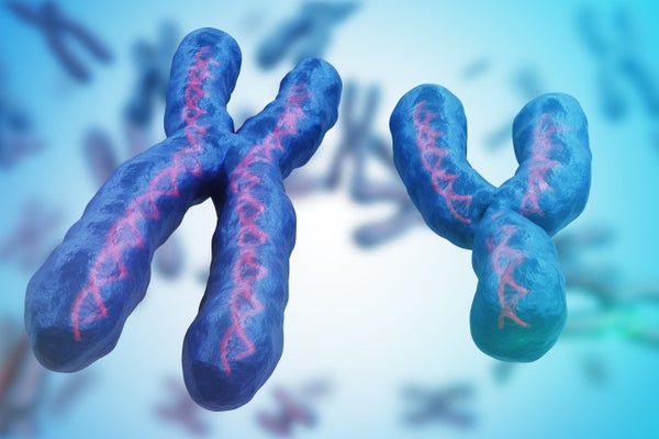 3D illustration of X and Y chromosomes floating with other chromosomes out of focus in the background