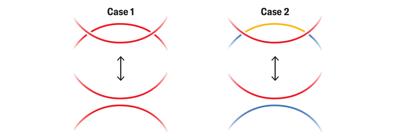 What is Knot Theory? Solve These Puzzles to Find Out | Scientific American