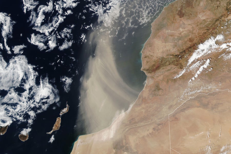 Satellite imagery of the Moroccan coast and Atlantic Ocean as dust from the Saharan Desert is carried by the wind