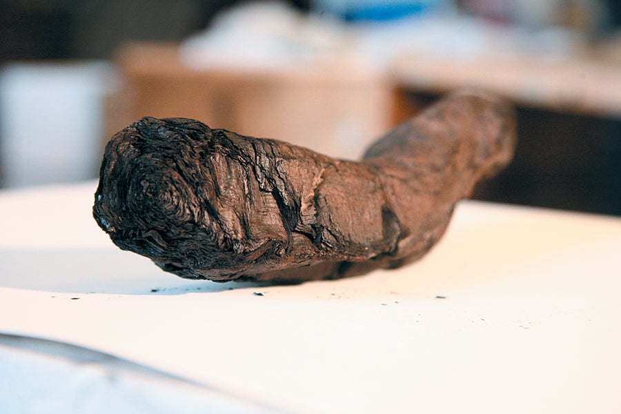 Close-up of a burnt papyrus scroll