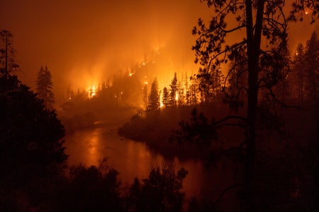 Wildfire burning at night close to the river.