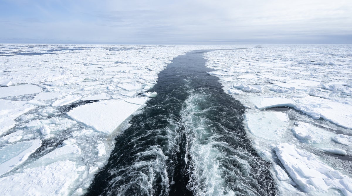Disappearing Arctic sea ice breaks frightening record