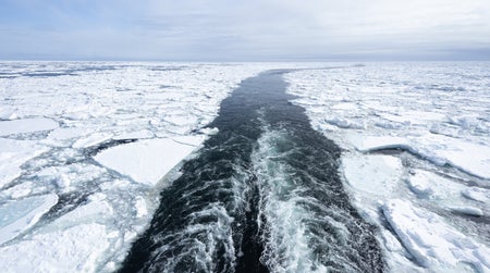 Floating ice split by a boat's wake; the boat is not visible.