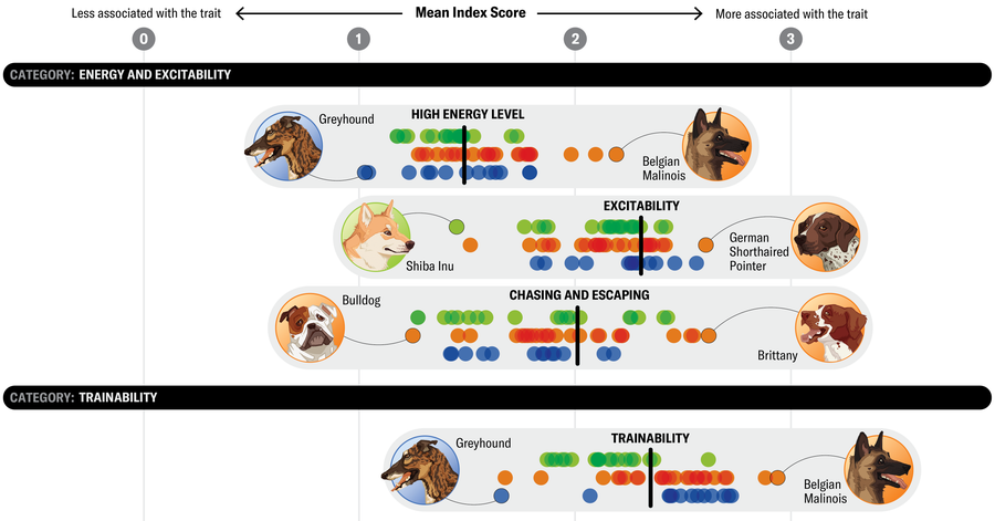 Third in a series of dog behavior charts. This set addresses energy and excitability plus trainability.