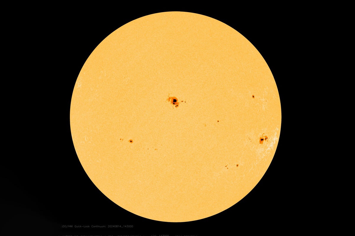 A full-disk view of the sun in filtered light showing several sunspots on its Earth-facing hemisphere, as seen by NASA's Solar Dynamics Observatory