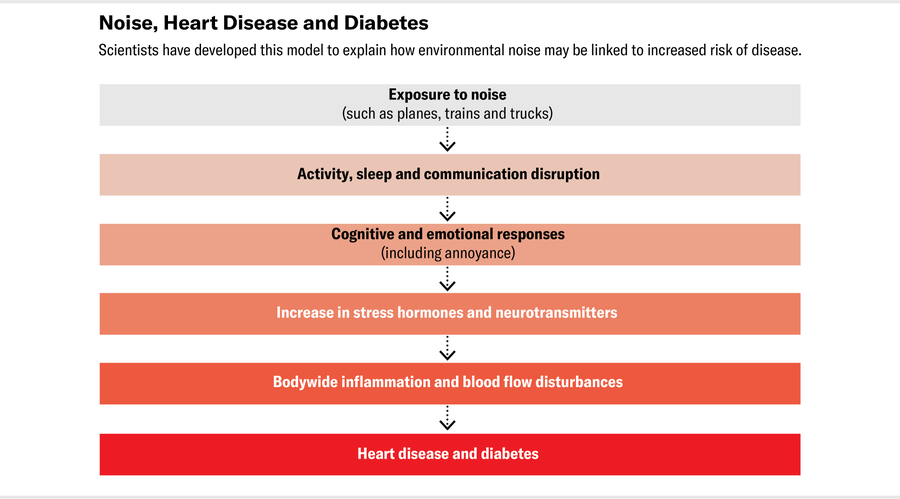 Flow chart shows a model of how environmental noise may be linked to increased risk of disease–from exposure, to stress and inflammation, to diseased states.