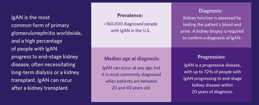 Infographic explaining prevalence, median age of diagnosis, diagnosis and progression of IgAN.
